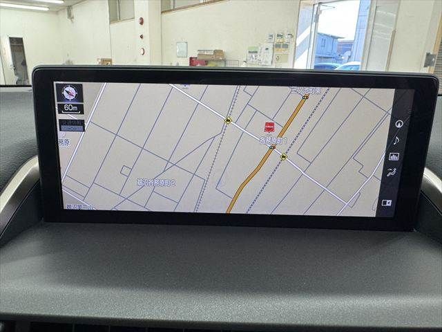 TOYOTA LEXUS NX300h 2020