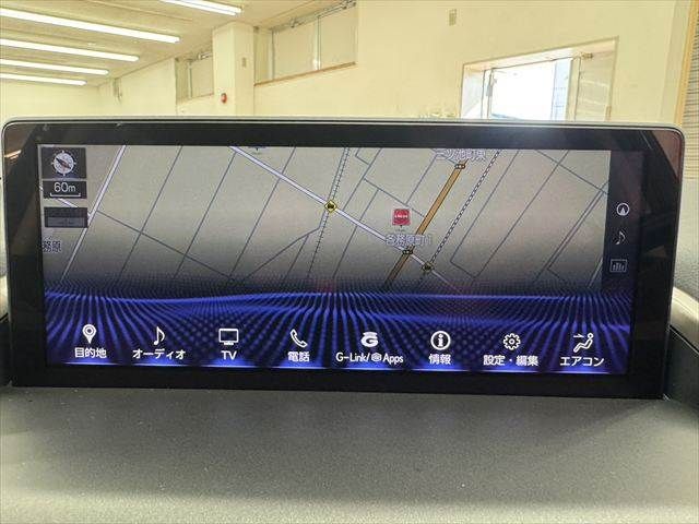 TOYOTA LEXUS NX300h 2020