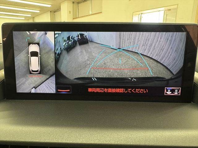 TOYOTA LEXUS NX300h 2020