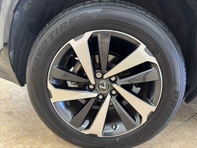 TOYOTA LEXUS NX300h 2020