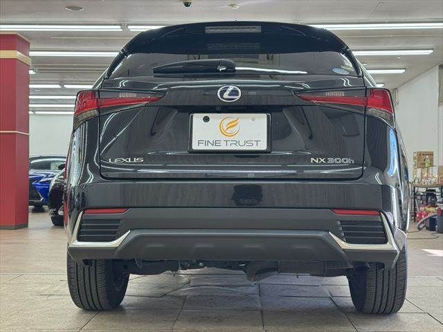 TOYOTA LEXUS NX300h 2020