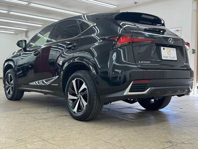 TOYOTA LEXUS NX300h 2020