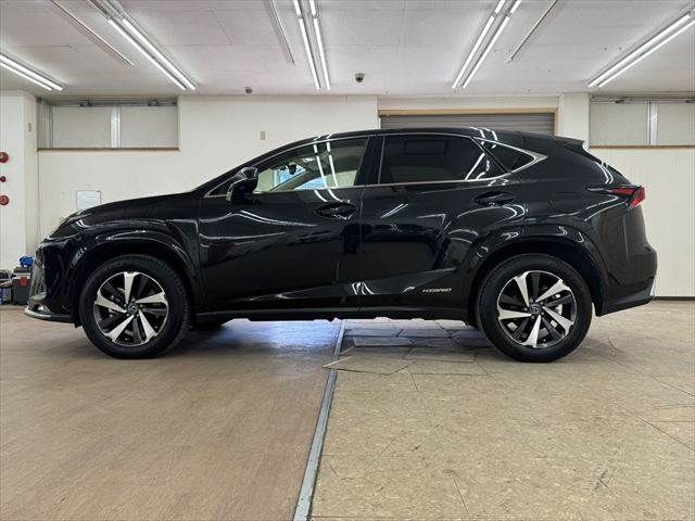 TOYOTA LEXUS NX300h 2020