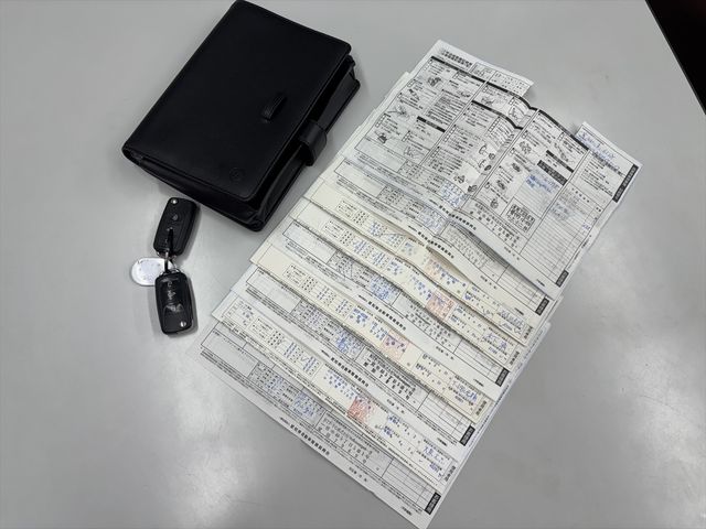 VOLKSWAGEN VOLKSWAGEN The BEETLE 2013