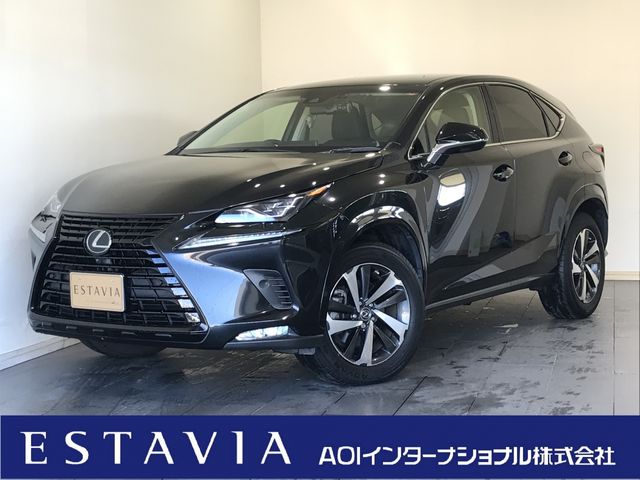 TOYOTA LEXUS NX300 2019