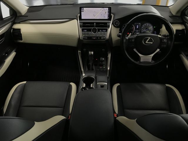 TOYOTA LEXUS NX300 2019