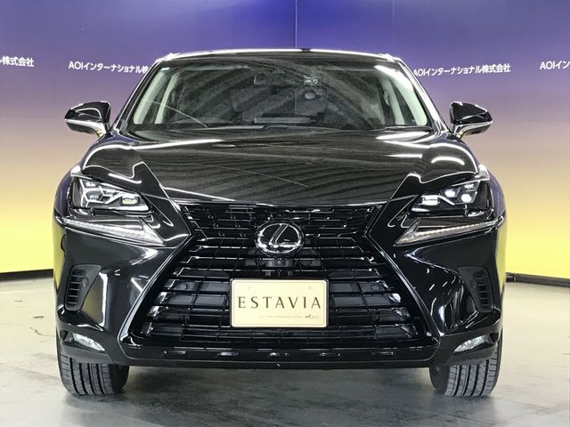 TOYOTA LEXUS NX300 2019