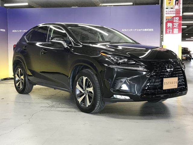 TOYOTA LEXUS NX300 2019