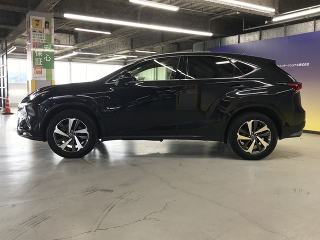 TOYOTA LEXUS NX300 2019