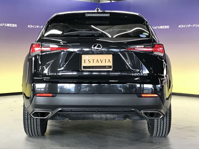 TOYOTA LEXUS NX300 2019