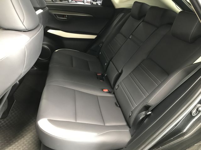 TOYOTA LEXUS NX300 2019