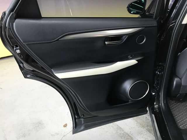 TOYOTA LEXUS NX300 2019