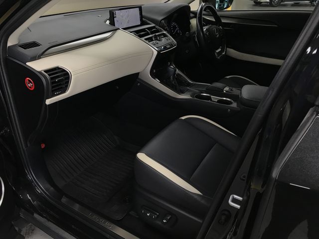 TOYOTA LEXUS NX300 2019