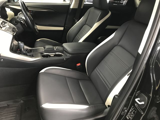 TOYOTA LEXUS NX300 2019