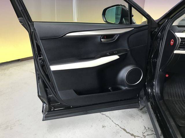 TOYOTA LEXUS NX300 2019