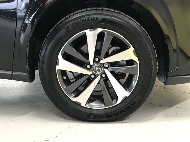 TOYOTA LEXUS NX300 2019