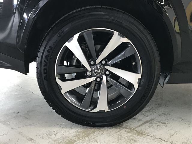 TOYOTA LEXUS NX300 2019