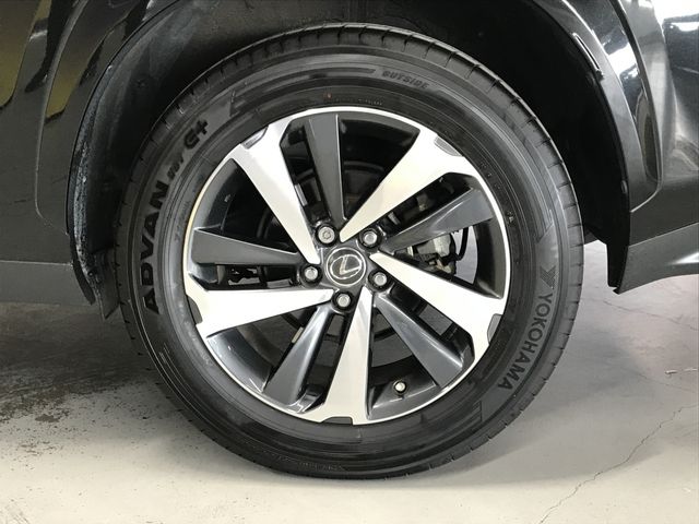 TOYOTA LEXUS NX300 2019