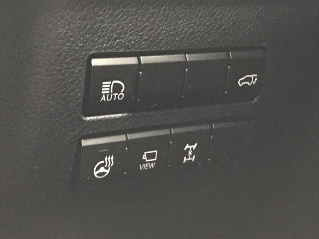 TOYOTA LEXUS NX300 2019