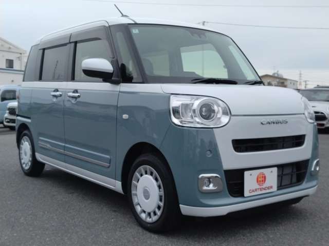 DAIHATSU MOVE canbus 2024