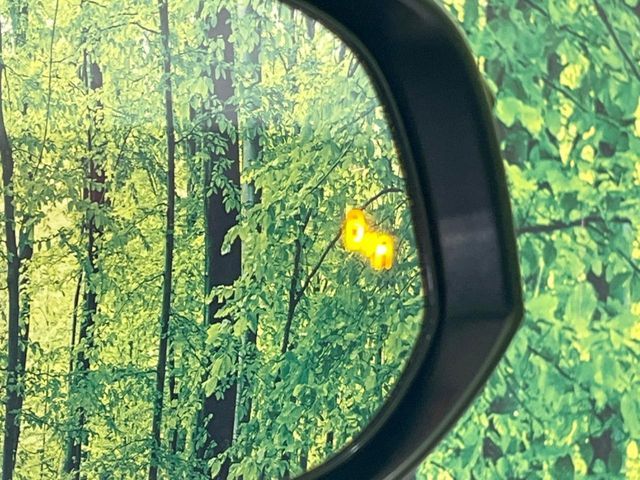 TOYOTA HARRIER 2WD 2021