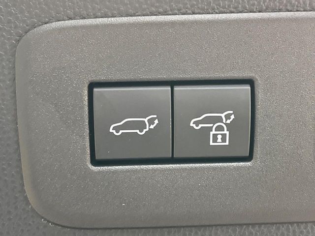 TOYOTA LANDCRUISER 250 2024