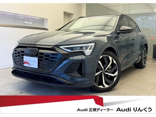 AUDI AUDI Q8 e-tron 2023