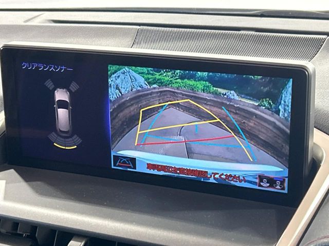 TOYOTA LEXUS NX300h 2020