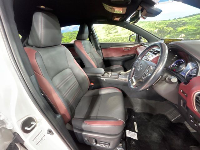 TOYOTA LEXUS NX300h 2020