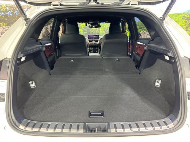 TOYOTA LEXUS NX300h 2020