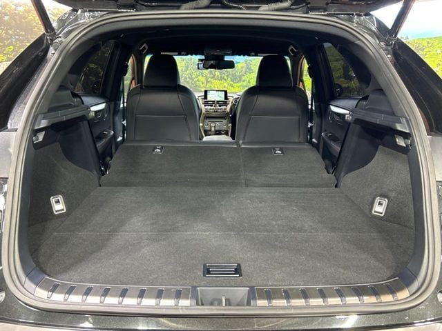 TOYOTA LEXUS NX300h 2015