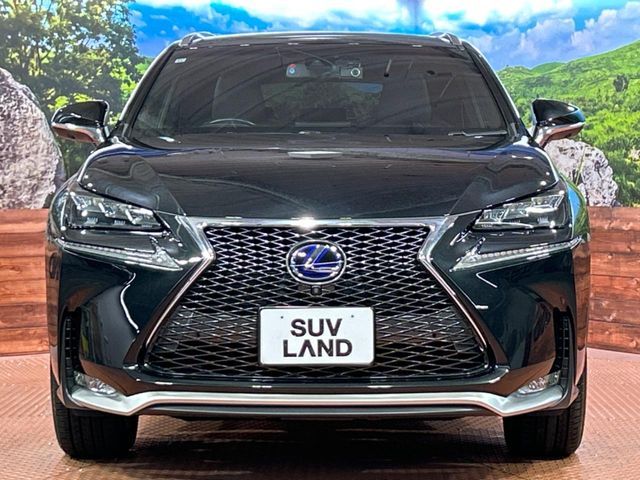 TOYOTA LEXUS NX300h 2015