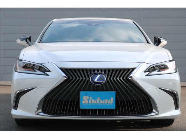 TOYOTA LEXUS ES300h 2020