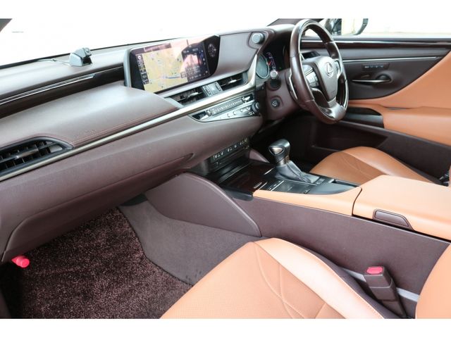 TOYOTA LEXUS ES300h 2020