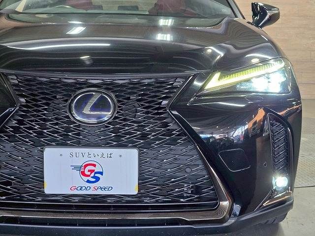 TOYOTA LEXUS UX250h 2019