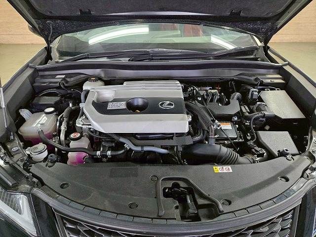 TOYOTA LEXUS UX250h 2019