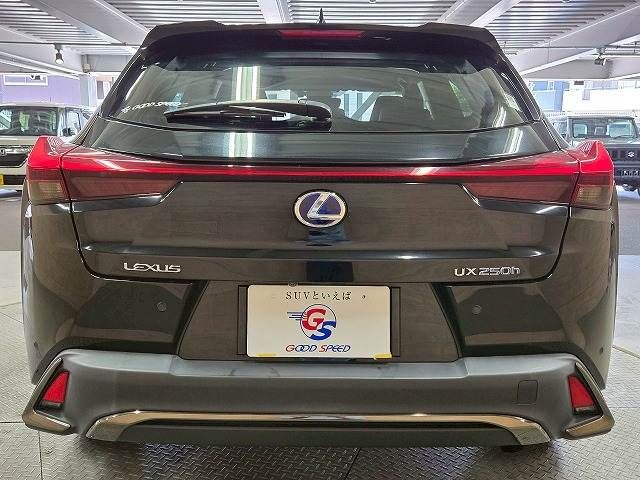 TOYOTA LEXUS UX250h 2019