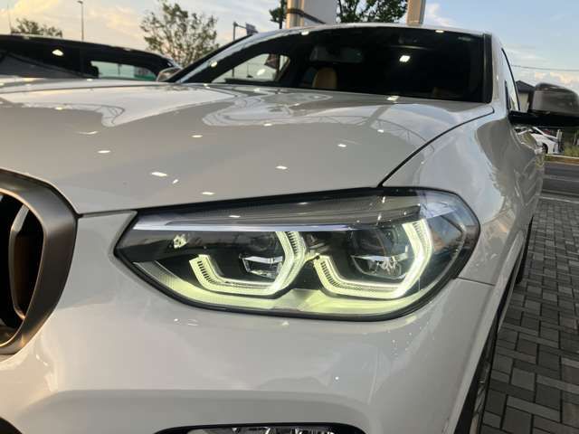 BMW BMW X4 2019