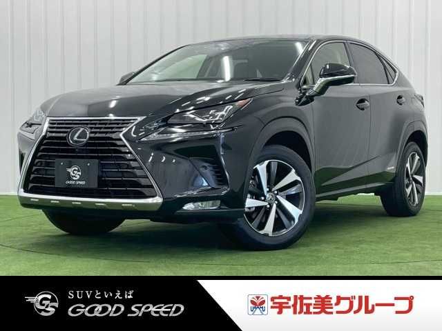 TOYOTA LEXUS NX300h 2019
