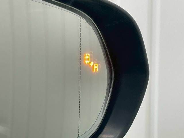 TOYOTA LEXUS NX300h 2019