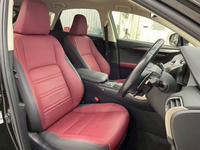 TOYOTA LEXUS NX300h 2019