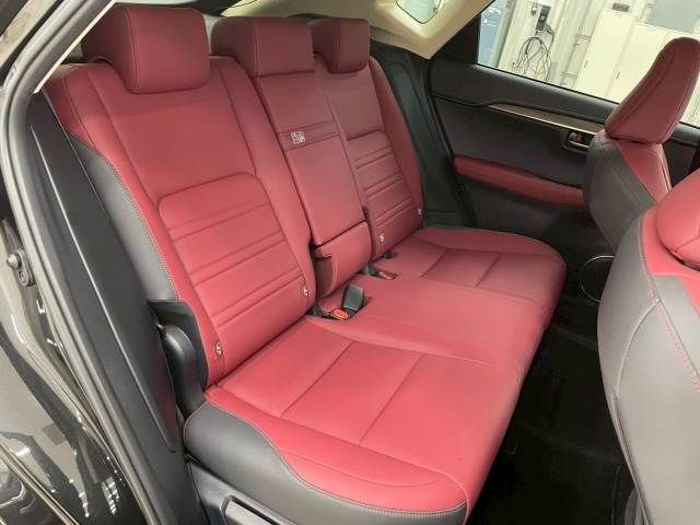 TOYOTA LEXUS NX300h 2019