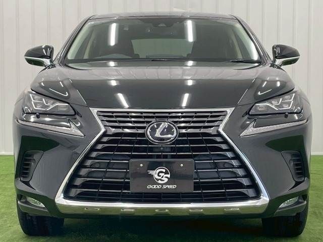 TOYOTA LEXUS NX300h 2019