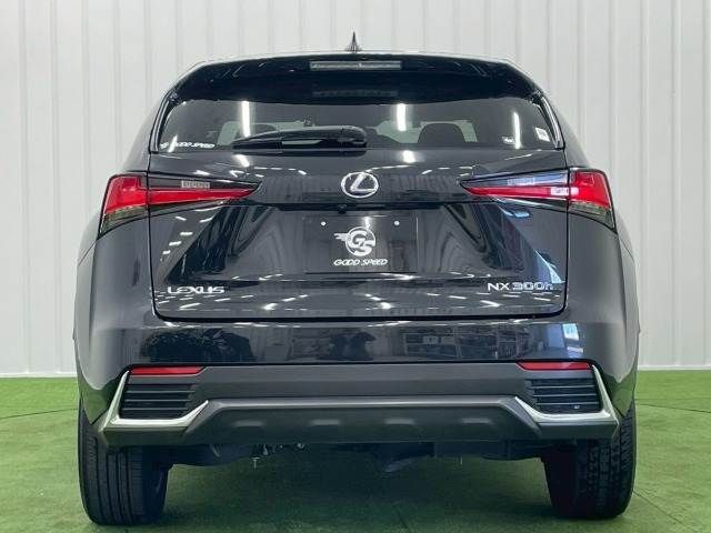 TOYOTA LEXUS NX300h 2019