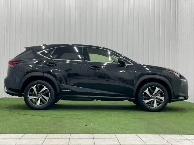 TOYOTA LEXUS NX300h 2019