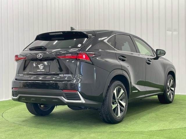 TOYOTA LEXUS NX300h 2019