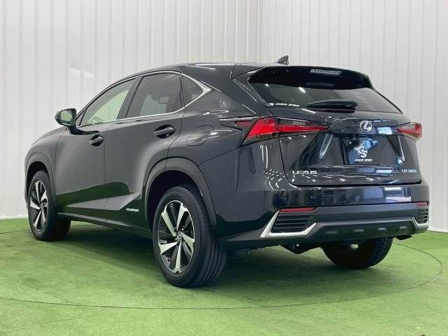 TOYOTA LEXUS NX300h 2019