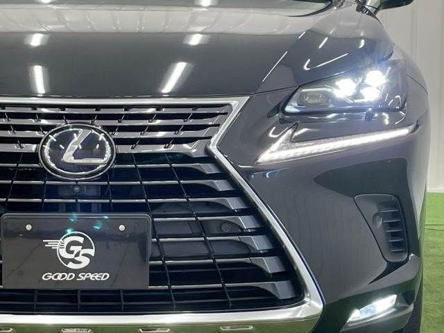 TOYOTA LEXUS NX300h 2019