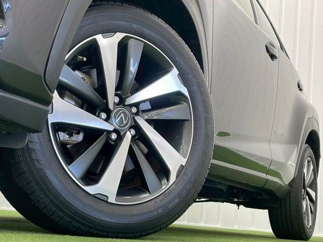 TOYOTA LEXUS NX300h 2019