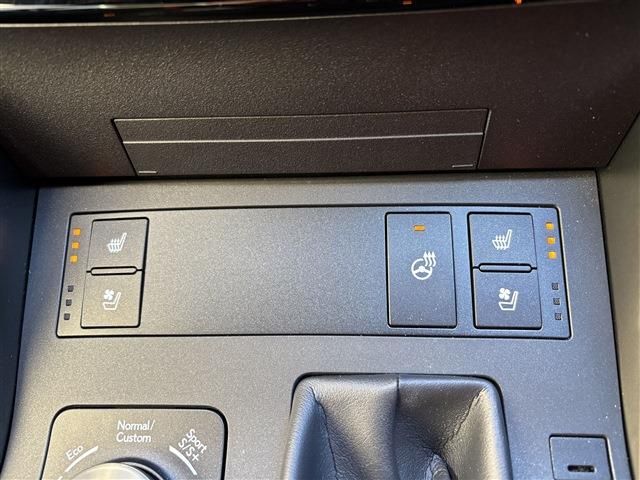 TOYOTA LEXUS IS300h 2020